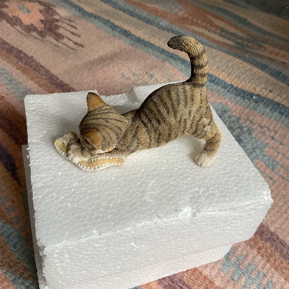 County Artist Kittens - Picture 2 of 3